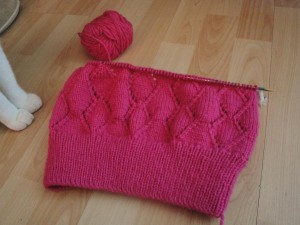 Pink Vest (in progress)