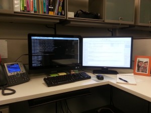 Allie's work desk with a dual-monitor setup
